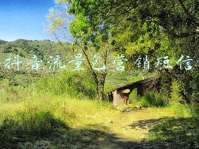 抖音流量包营销短信