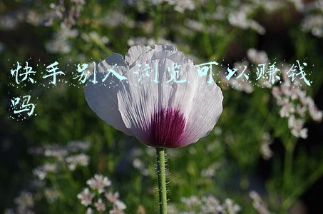 快手别人浏览可以赚钱吗