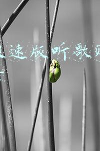 快音听歌一天能赚多少钱(调查 | IT男转做闪送，月入万元每天发现都市另一面)