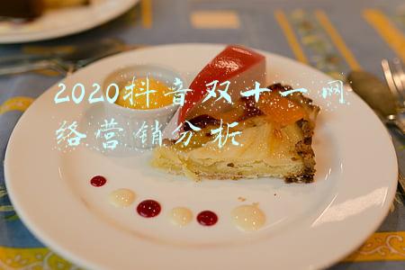 2020抖音双十一网络营销分析