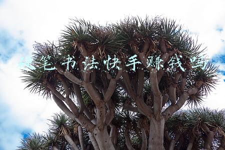 快手上的书法家是真的吗(书画这两年不太好卖？他在快手上一年卖了19万件)