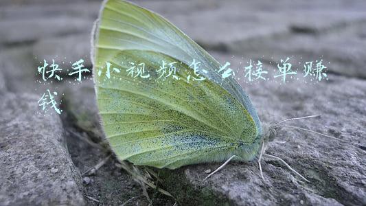 快手小视频怎么接单赚钱