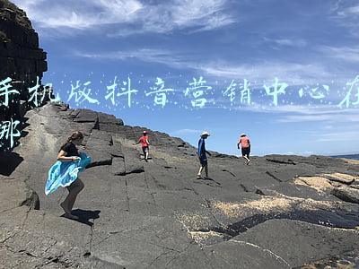 手机版抖音营销中心在哪