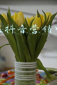 抖音官方商业推广电话(抖音广告投放如何精准瞄准客户？抖音广告开户指南)