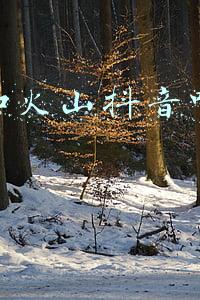 快手和火山抖音哪个更赚钱