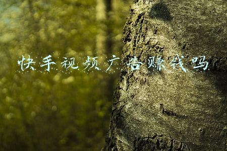 快手视频广告收益(快手第三季度财报：营收205亿、净亏损70.9亿 广告收入增长)