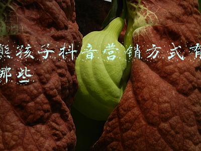 熊爸熊孩子(熊爸熊孩子都因“它”闯祸)
