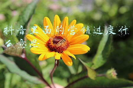 抖音广告营销啥意思(抖音被认定为广告营销怎么办，抖音涉及广告营销怎么申诉？)