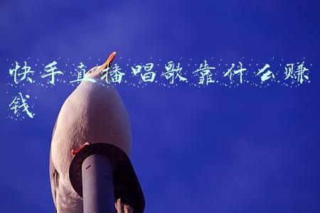 快手直播唱歌靠什么赚钱