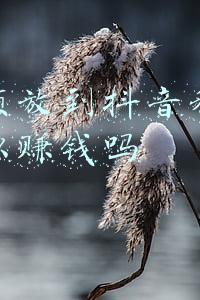 剪视频放到抖音和快手上可以赚钱吗