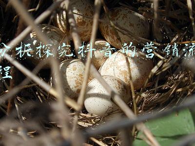 分析探究抖音的营销流程