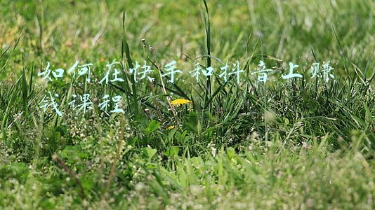如何在快手和抖音上赚钱课程