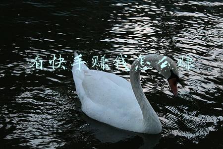 看快手赚钱怎么赚