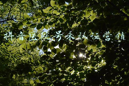 抖音医院号未认证营销