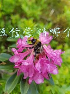 e时代短信营销软件(邹平农商银行靶向营销电子银行 切实提升金融服务)