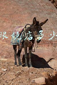 开眼镜店多少钱
