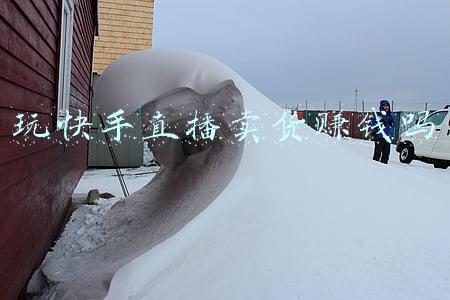 玩快手直播卖货赚钱吗