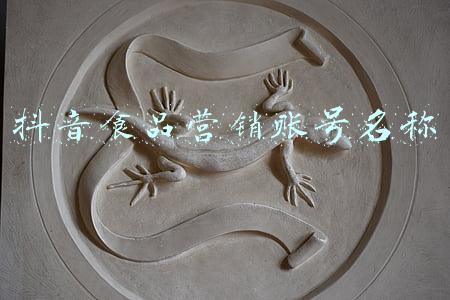 抖音食品营销账号名称