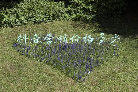 价格营销策略有哪些(如何通过价格策略提升经营业绩)