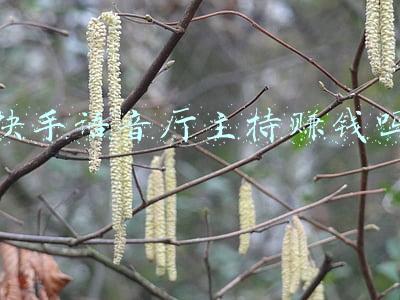 快手语音厅主持赚钱吗