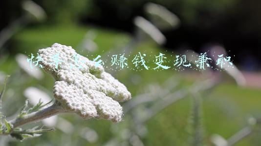 快手怎么赚钱变现兼职