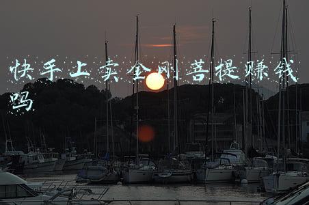 快手上卖金刚菩提赚钱吗