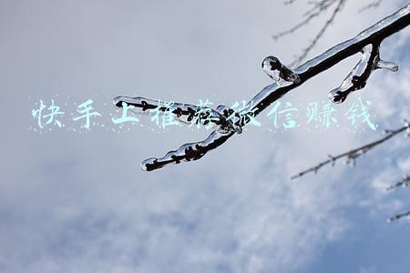 快手上推荐的答题模拟器赚钱是真的吗(中国网民真的很抗拒付费阅读吗？)