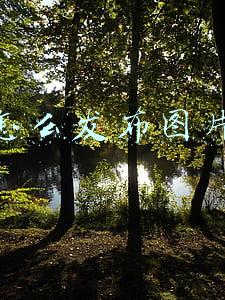快手怎么发布图片赚钱