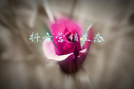 抖音营销生态