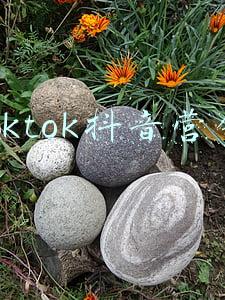 tiktok抖音国际版电脑(TikTok（抖音国际版）全球月活跃用户超10亿人)