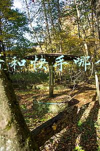 快手注册企业号(快手申请注册快手菜商标，国际分类为广告销售)