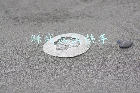 赚钱派派快手