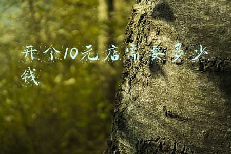开个10元店要多少本钱-开个10元店需要多少钱