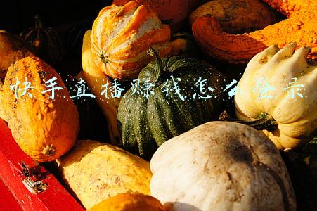 快手直播赚钱怎么登录