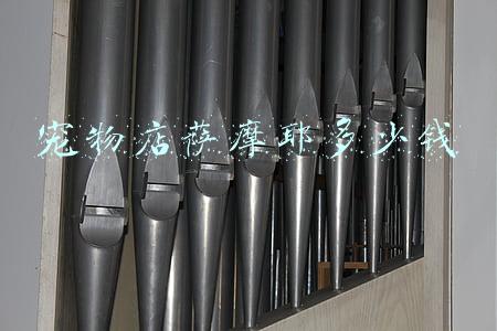 萨摩耶幼犬多少钱一只：萨摩耶幼犬多少钱