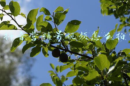 抖音营销号视频怎么拍