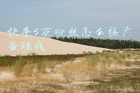 卡盟快手粉丝(灰色网赚江湖：1%创富神话 99%被收割)