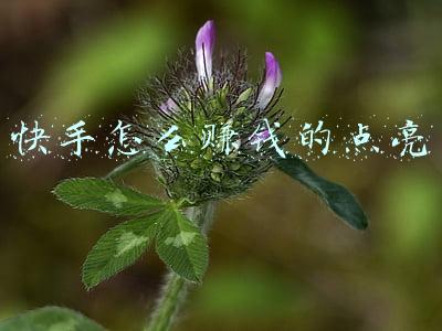快手怎么赚钱的点亮