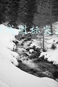 快手赚金币怎么没有了(快手极速版的金币缩水了？)