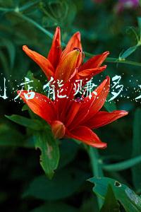 加盟便利店需要多少钱 连锁便利店加盟多少钱