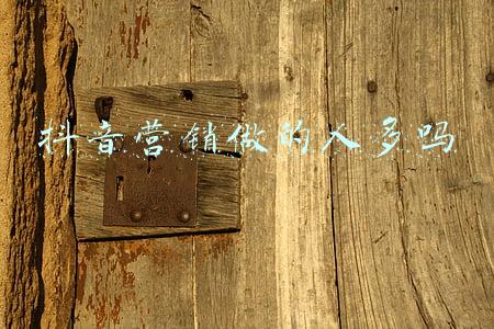 机器人电话营销(不知道怎么做销售？电话机器人助你一臂之力)