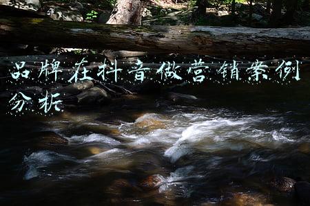 品牌在抖音做营销案例分析