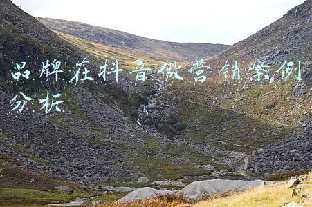品牌在抖音做营销案例分析