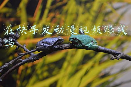 在快手发动漫视频赚钱吗