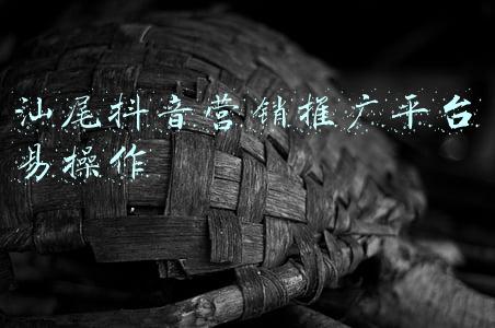 汕尾抖音营销推广平台易操作