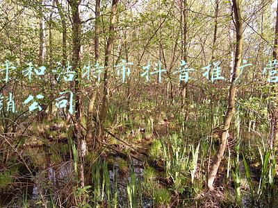 呼和浩特市抖音推广营销公司