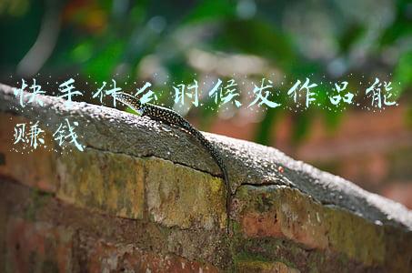 快手什么时候发作品能赚钱