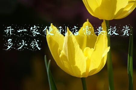 开个便利店要多少钱(开一家便利店大约要多少钱)