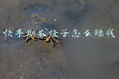 快手助农橙子怎么赚钱