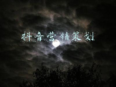 抖音营销策划书1000字(285抖音营销策划方案（27份）)